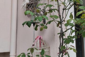 Photo 35