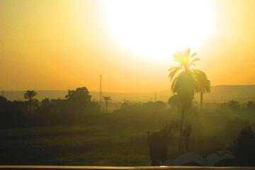 Photo 59