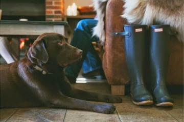 Pet-friendly