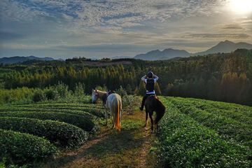 Horseback riding