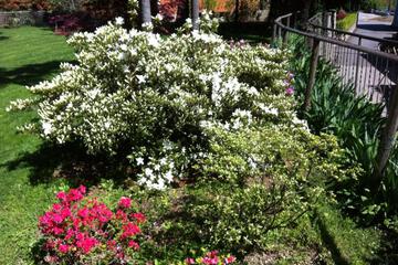 Photo 33