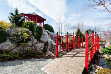 Park view