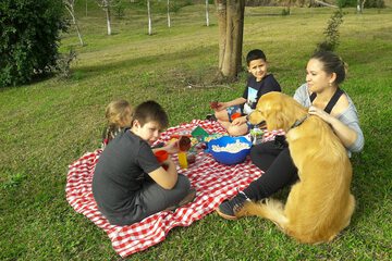 Children's activities