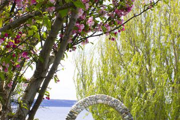 Outdoor wedding area