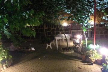 Photo 42