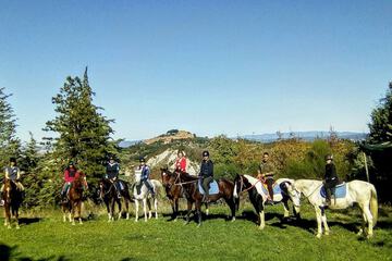 Horseback riding
