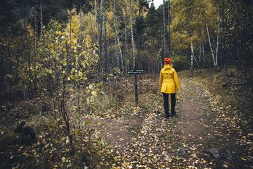 Hiking