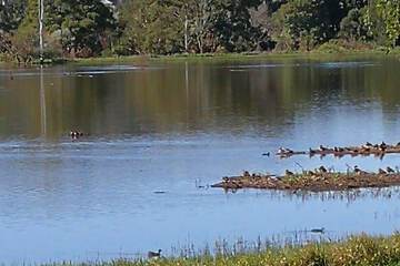 Lake