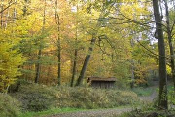 Photo 24