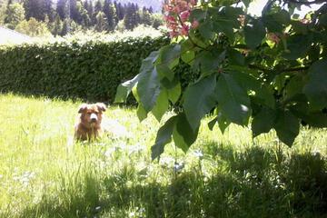 Photo 27