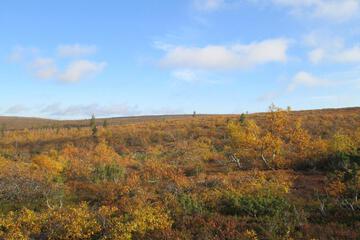 Photo 52