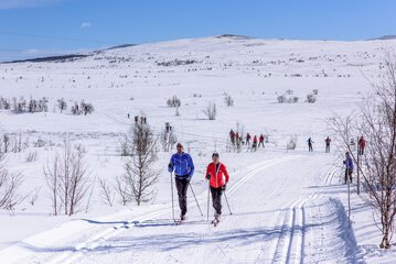 Skiing