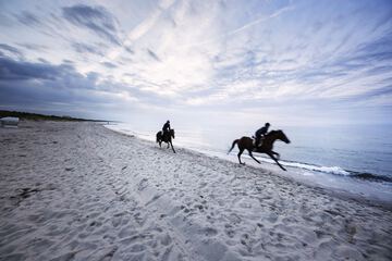 Horseback riding