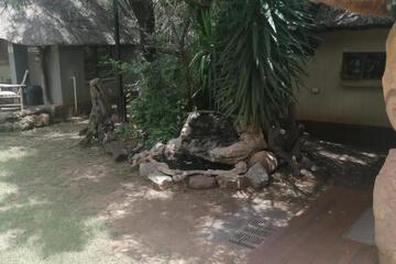 Photo 100
