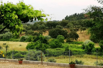 outside