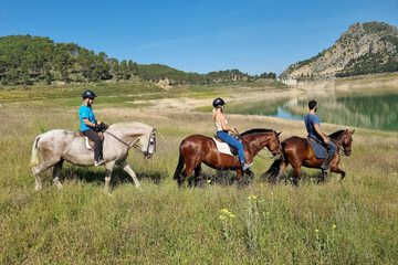 Horseback riding