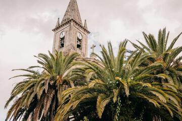 Photo 47