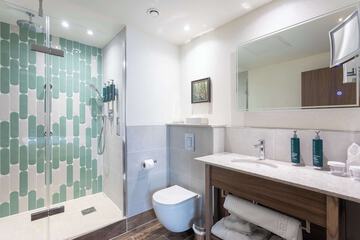Bathroom shower