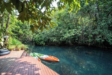 Natural pool