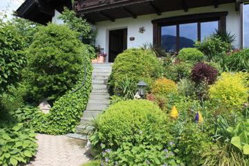 Photo 29