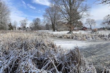 Land view from property