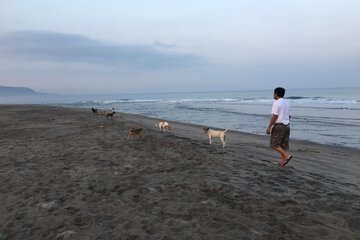 Beach