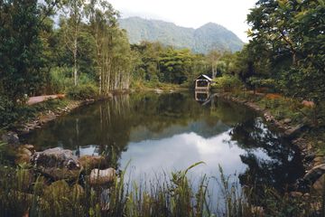 Lake