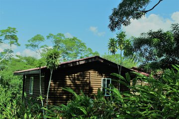 Building design