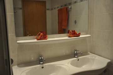 Bathroom sink