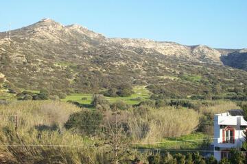 Photo 81