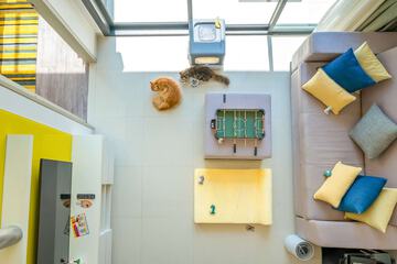 Pet-friendly amenities
