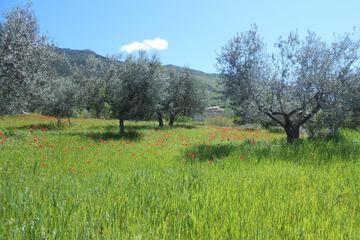 Photo 24