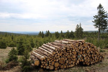 View from property
