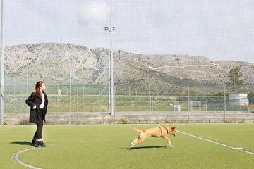 Pet-friendly