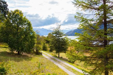 Park view