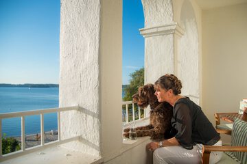 Pet-friendly