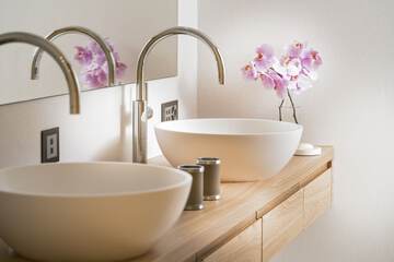 Bathroom sink