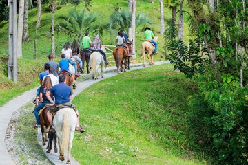 Horseback riding