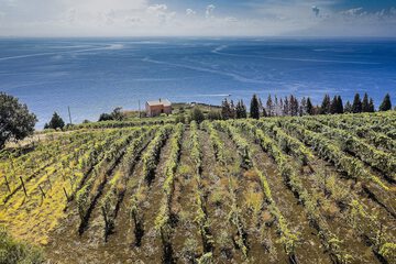 Winery