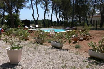 Photo 25