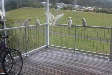 outside