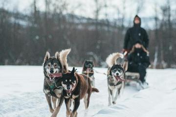 Photo 48