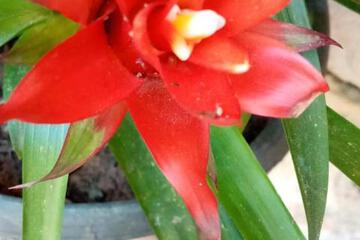 Photo 38