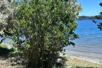 Photo 25