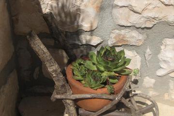 Photo 38
