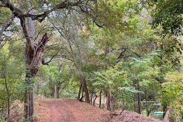 Hiking