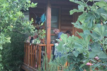 Photo 37