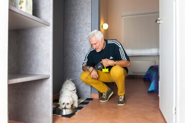 Pet-friendly