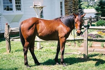 Property Grounds 59 of 61