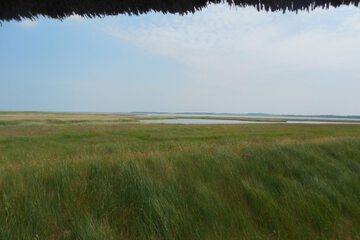 Land view from property